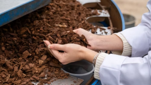 Abono orgánico para mejorar la tierra de un huerto