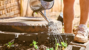 Persona regando un huerto en casa para ahorrar agua