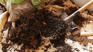 Fertilizante y materia orgánica preparados para mejorar el crecimiento del huerto
