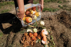 Restos orgánicos de cocina para hacer compost en casa