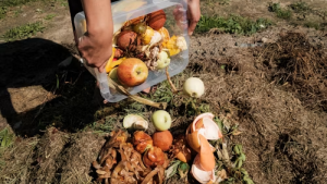 Restos orgánicos de cocina para hacer compost en casa