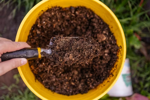 Preparación de tierra y compost antes de plantar en un huerto