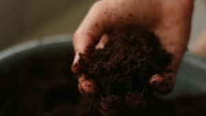 Tierra fértil preparada para cultivar en un huerto