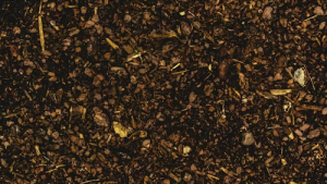 Sustrato preparado para cultivar plantas en un huerto urbano