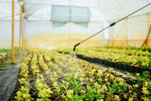 Aplicación correcta de fertilizante en cultivos de un huerto
