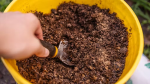 Abono orgánico preparado para mejorar la tierra del huerto