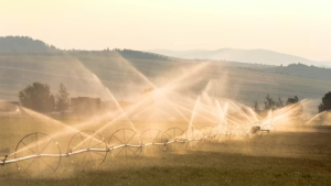 Sistema de riego por aspersión funcionando en un campo de cultivo