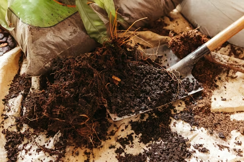 Compost y materia orgánica utilizados como abono para plantas